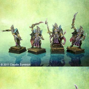 Dark Elves Black Ark Corsairs by Claudia Zuminich