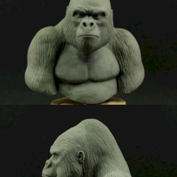 Gorilla 1/10 by DarkSpawn