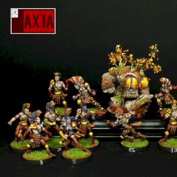 Wood elf blood bowl team painted on commission! by axia