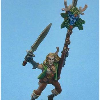 Elvian standart bearer 28 mm by artos studio