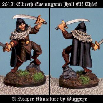 2618: Elbreth Eveningstar Half Elf Thief by Buggeye