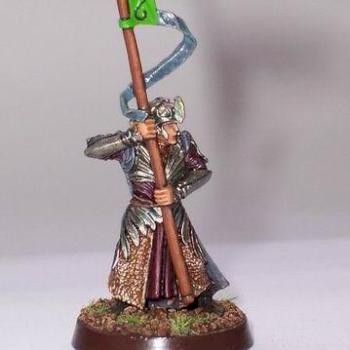 Elven Standard Bearer by brainiac