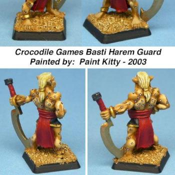 Basti Camp-Follower Harem Guard by Paint Kitty