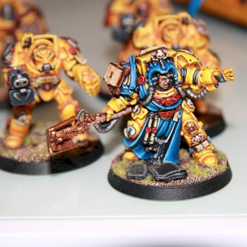 WARHAMMER 40K IMPERIAL FISTS ARMY PAINTED by salem