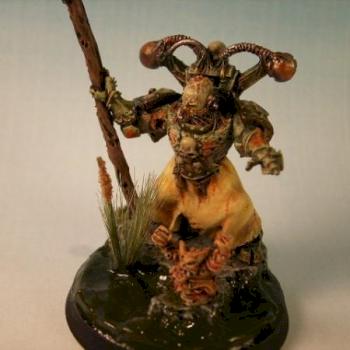 Nurgle Chaos Hexer by Archer