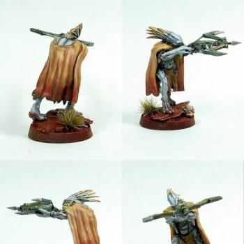 Albino Kroot Hunter/Traqueur Kroot Albinos by Pazuzu