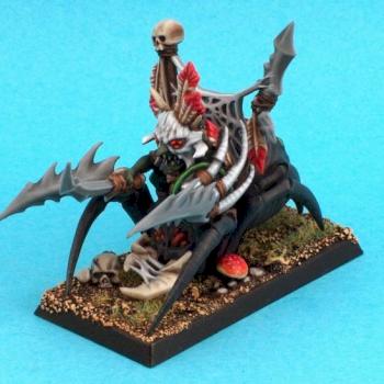 Goblin Spider Rider Command unit leader by the Infadel