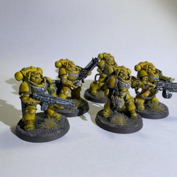 Imperial fist by Nsolver