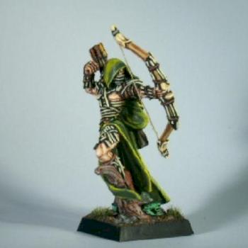 New Wood Elf Waywatcher Lord 1 by krom1415