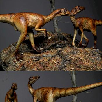 Velociraptor diorama by Tigershark Infinite