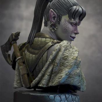 Dark elf bust by Lynx