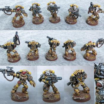 Imperial Fists Sternguard by oxazejam