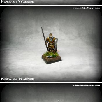 Norman warrior by Maciejus_exe