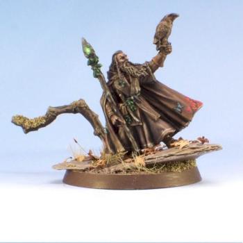 Radagast the Brown by darklord