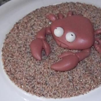 Crab by sting