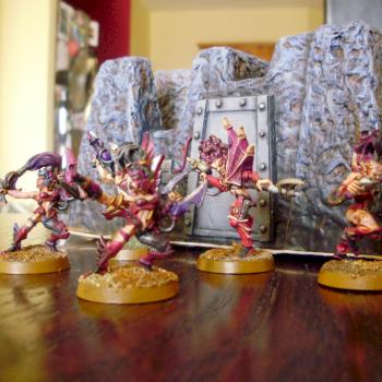 Dark Eldar Wych Squad (Close Up) by Renny27