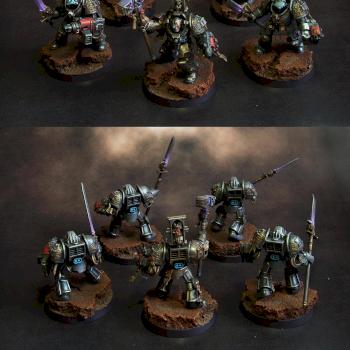 Grey Knights Terminators / Paladins & Inquisitor by highelf