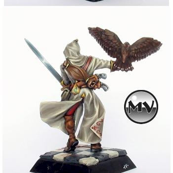 alahan falconeer by WiNd