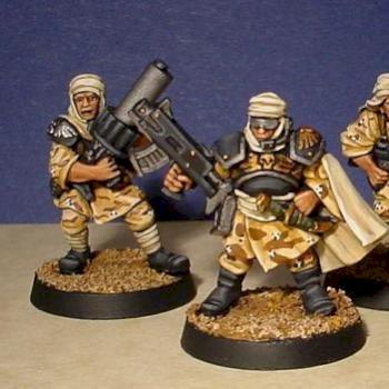 Some Desert Imperial Guards by idahoan