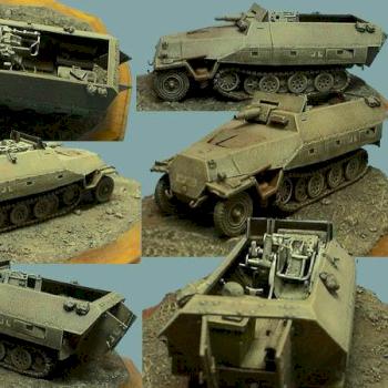 1/72 scale SdKfz 251/9 short 75mm by awong