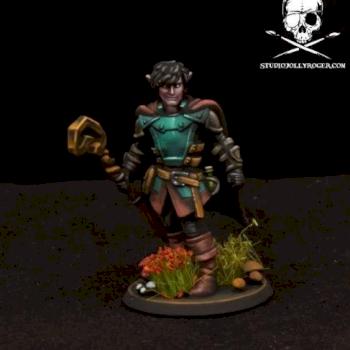 Hero Forge Character by Jolly Roger Studio