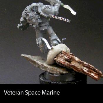 Veteran Space Marine by arsenus sale work