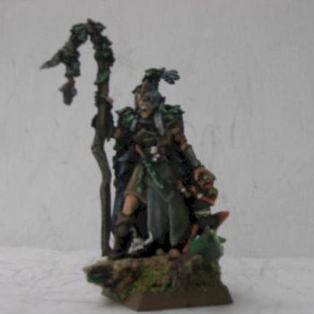 Wood Elves "on foot" spellsinger by MugeN