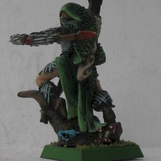 Wood elves waywatcher lord by MugeN