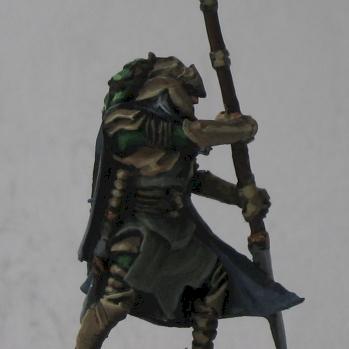 Wood Elves Eternal guard by MugeN