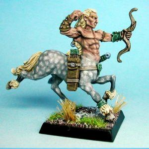 Chainmail. Centaur Trooper. by tentoone