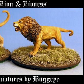 2776: Lion & Lioness by Buggeye