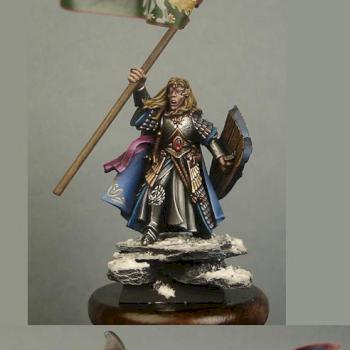 high Elf standard bearer by rosman