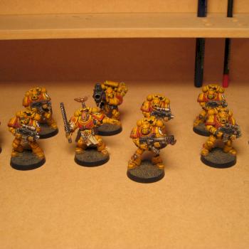 Imperial Fists Tactical squad 1 by pacmanman