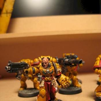 Imperial Fists veteran sergeant 1 by pacmanman