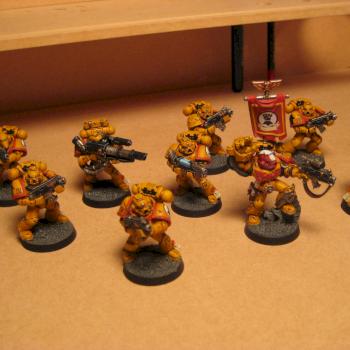 Imperial Fists Tactical squad 3 by pacmanman