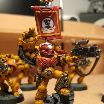 Imperial Fists veteran sergeant 2 by pacmanman