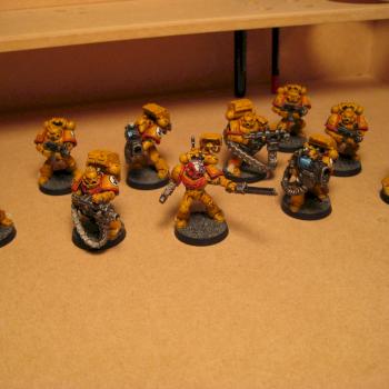 Imperial Fists Devastator squad by pacmanman