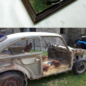 Volkswagen Chicken Coop by misterjustin