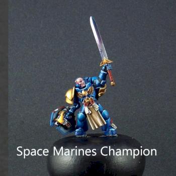 Space Marines Champion by risk0