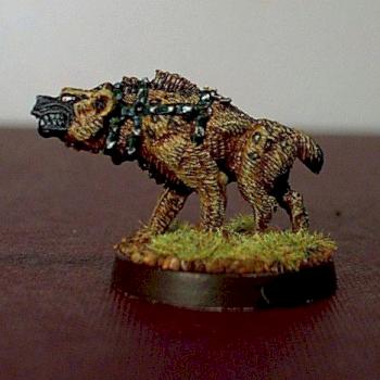 Naresh (Chainmail) Hyena by fastball24