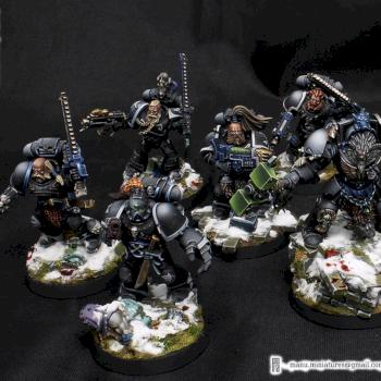 Space Wolves Grey Hunters by Manu Miniatures