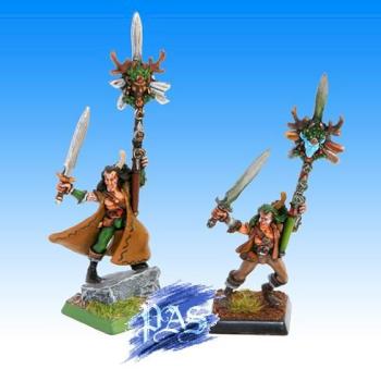 WOOD ELF STANDARD BEARERS by PASfriends