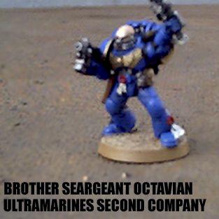 Brother Sergeant Octavian by elfinboots