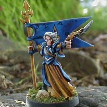 Chainmail Gray Elf Noble by Wedgy