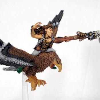 Wood Elf Mage on Warhawk by nvstudios