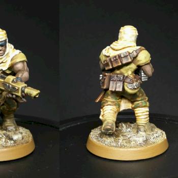 Imperial Guard Conversion by MandyZ