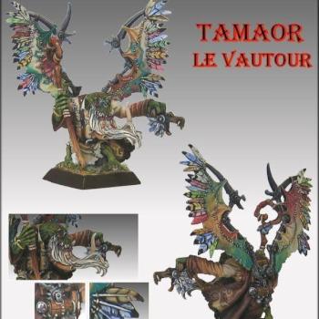 Tamaor le vautour (repost) by Barni