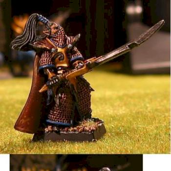 Dark Elf Executioner Champion by aragorn