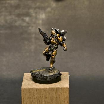 Tiger soldier by PintorDeMiniaturas