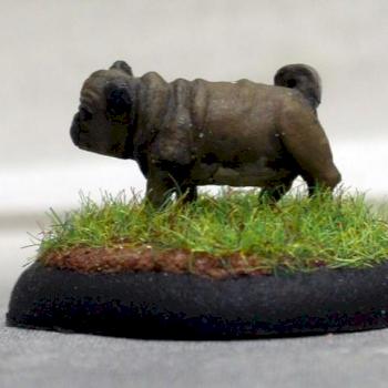 Pug by Sand Rat